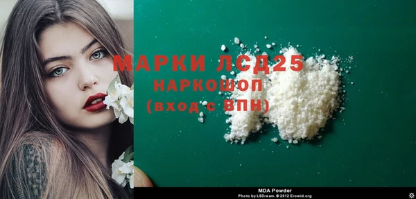 стаф Касимов