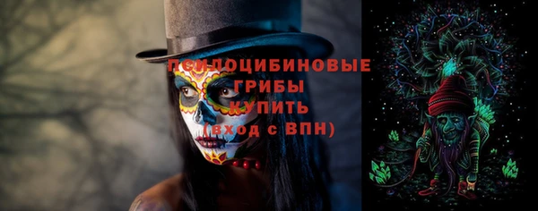 PSILOCYBIN Алексеевка