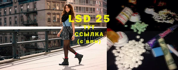 PSILOCYBIN Алексеевка