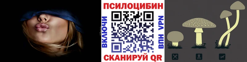 Псилоцибиновые грибы прущие грибы  Махачкала 