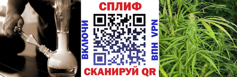 МАРИХУАНА Ganja  Махачкала 